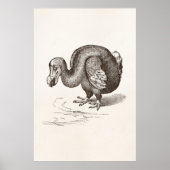 Vintage Dodo-Bird-Vorlage Poster (Vorne)