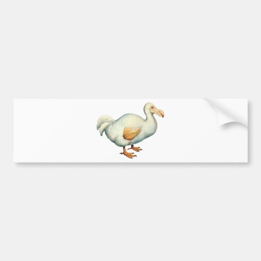 Vintage Dodo-Illustration Autoaufkleber (Vorne)