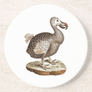 Vintage Dodo-Vogel Retro-Dodos-Vögel 1700er Sandstein Untersetzer