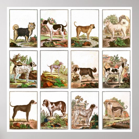 Vintage Dog Collage Poster (Vorne)