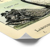 Vintage domestizierte Tiere von Adolphe Millot Poster (Ecke)