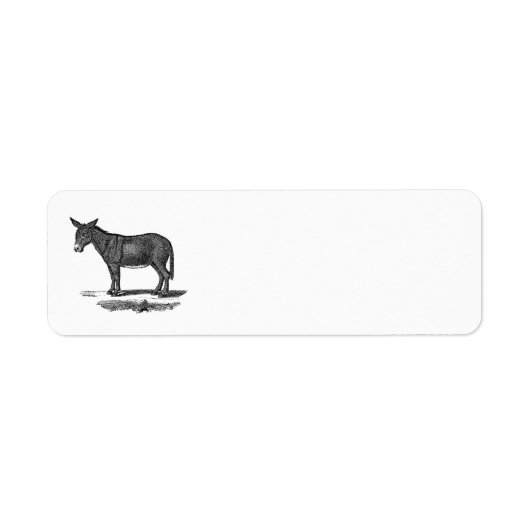 Vintage Donkey-Illustration - die Esel des 18. Jah (Vorne)