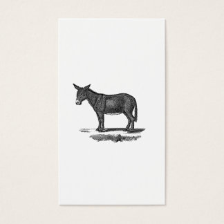 Vintage Donkey-Illustration - die Esel des 18. Jah