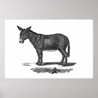 Vintage Donkey-Illustration - die Esel des 18. Jah