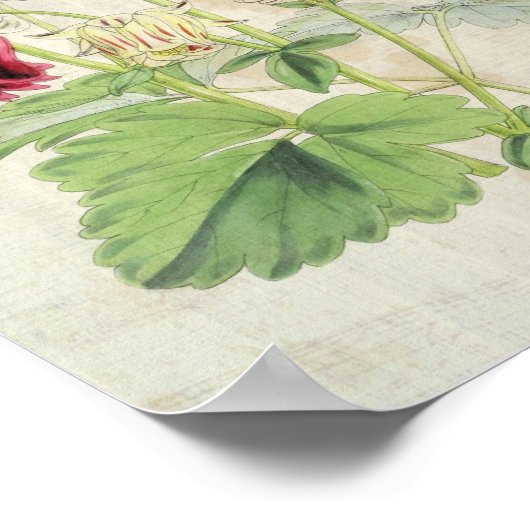 Vintage Doppelkarnation-Stripte Kolumne Poster (Ecke)