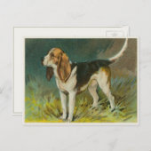 Vintage Dosenpostkarte mit Niedlichem Beagle Postkarte (Vorne/Hinten)