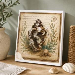 Vintage-Dove-Schnecken-Botanik-Illustration Küste  Leinwanddruck