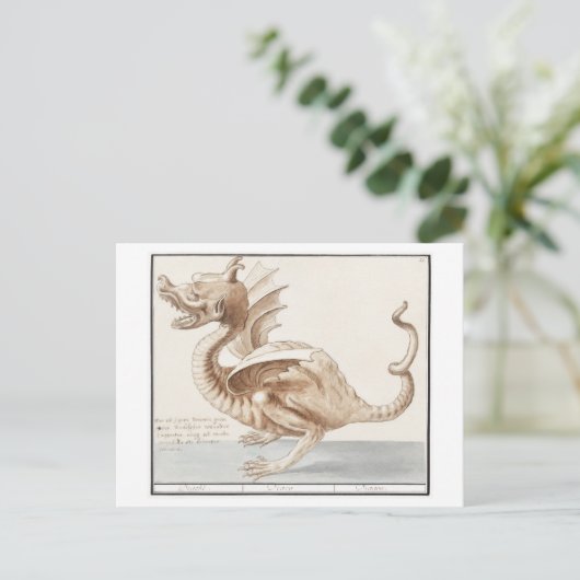Vintage Drachendarstellung Postkarte (Stehend Vorderseite)