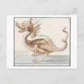 Vintage Drachendarstellung Postkarte (Vorderseite)