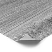 Vintage Drag - "Wild Cargo" Chevy Nova Funny Car Poster (Ecke)