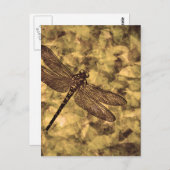 Vintage Dragonfly Art Postkarte (Vorne/Hinten)