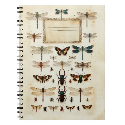 Vintage Dragonfly Beetle Taxonomy Specimen Chart Notizblock (Vorderseite)