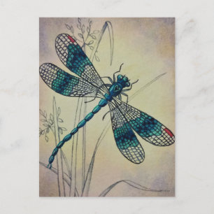 Vintage Dragonfly No. 2 Gras Aquarell Kunst Postka Postkarte