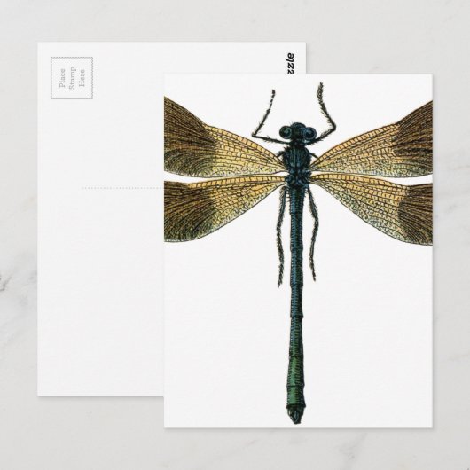 Vintage Draquelly Postkarte (Vorne/Hinten)