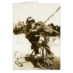 Vintage - Dreiradfahrender Schimpanse Violinist,