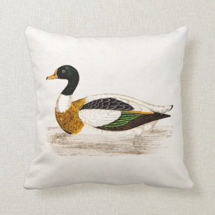 Vintage-Druck einer Erpel-Ente aus dem 19. Jahrhun Kissen