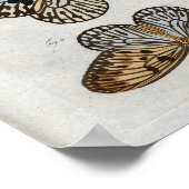 Vintage Druckdownloads Poster (Ecke)