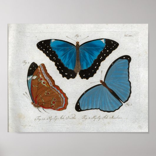 Vintage Druckdownloads Poster (Vorne)