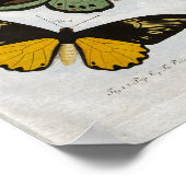 Vintage Druckdownloads Poster (Ecke)