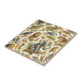 Vintage Dschungeltiere Wasserfarbe Fliese (Seite)