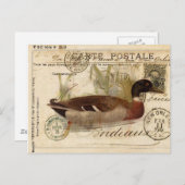 Vintage Duckkarte Postkarte (Vorne/Hinten)