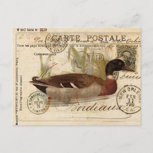 Vintage Duckkarte Postkarte (Vorderseite)