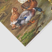Vintage Ducklings Landtiere Seidenpapier (Ausschnitt)