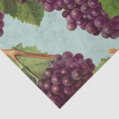 Vintage dunkle Lila Weintrauben und Weintrauben Seidenpapier (Detail)