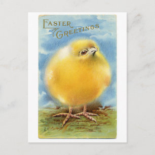 Vintage Easter Greetings Fuzzy Chick Feiertagspostkarte