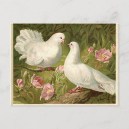 Vintage Easter White Doves Feiertagspostkarte
