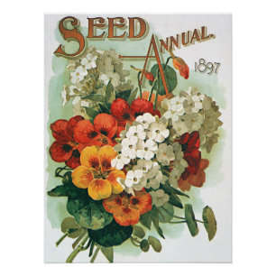 Vintage-Eastman-Samenkatalog-Cover-Art, 1897 Poster