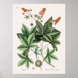Vintage-Echsen-Illustration Poster