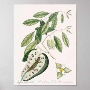 Vintage-Echsen-Illustration Poster