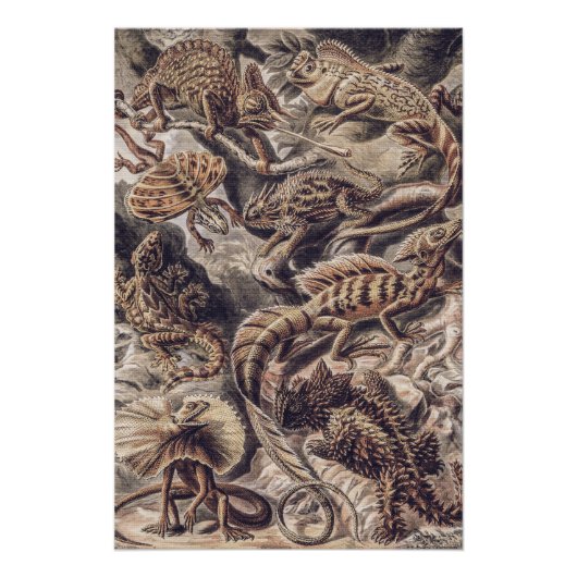 Vintage Echsen-Tiere von Ernst Haeckel Poster (Vorderseite)