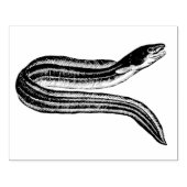 Vintage Eel Rubber Art Briefmarke Gummistempel (Prägung)
