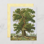 Vintage Eichenbaum-Blank 4.25"x5.5"-Karte (Vorne/Hinten)