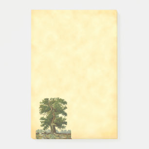 Vintage Eichenbaum-Post-it Post-it Klebezettel