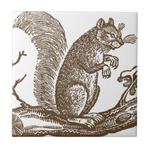 Vintage Eichhörnchen Fliese