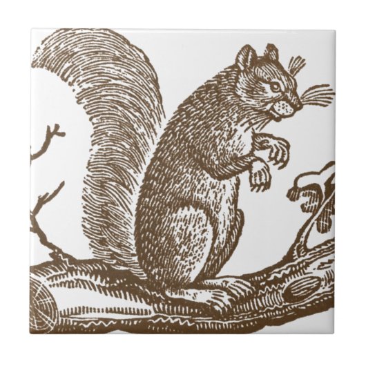 Vintage Eichhörnchen Fliese (Vorderseite)