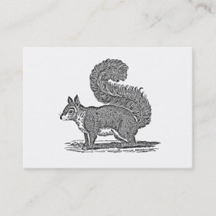 Vintage Eichhörnchen-Illustration - Eichhörnchen a Visitenkarte