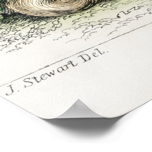 Vintage Eichhörnchen-Illustration Poster (Ecke)