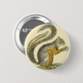 Vintage Eichhörnchen Knopf Button (Vorne & Hinten)