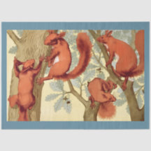 Vintage Eichhörnchen Naturillustration