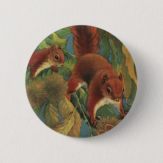 Vintage Eichhörnchen, Waldkreaturen, Wildtiere Button (Vorderseite)