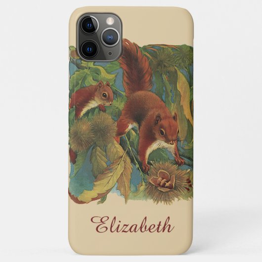 Vintage Eichhörnchen, Waldkreaturen, Wildtiere Case-Mate iPhone Hülle (Rückseite)