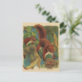 Vintage Eichhörnchen, Waldkreaturen, Wildtiere Postkarte (Stehend Vorderseite)