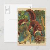 Vintage Eichhörnchen, Waldkreaturen, Wildtiere Postkarte (Vorne/Hinten)