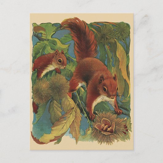 Vintage Eichhörnchen, Waldkreaturen, Wildtiere Postkarte (Vorderseite)