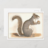 Vintage Eichhörnchendarstellung Postkarte (Vorne/Hinten)