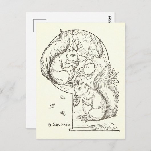 Vintage Eichhörnchendarstellung Zeichnend Postkart Postkarte (Vorne/Hinten)